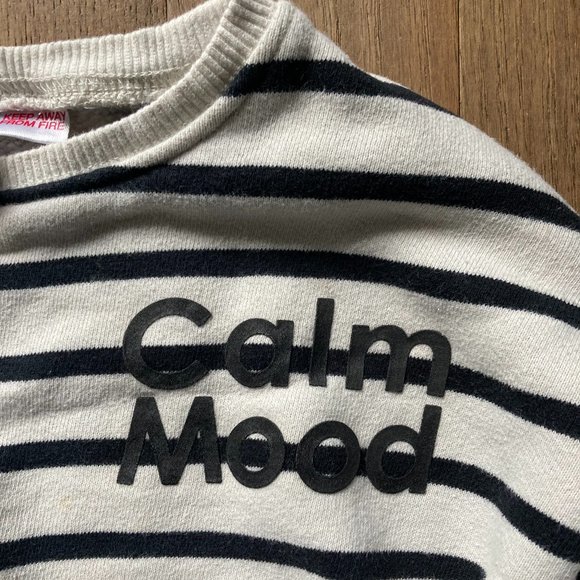 Zara Toddler Text Striped Sweatshirt - Picture 5 of 5